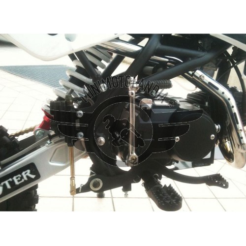 Pit Bike BSE Monster YX 150cc 16cv Dirt Bike Racing 17-14"