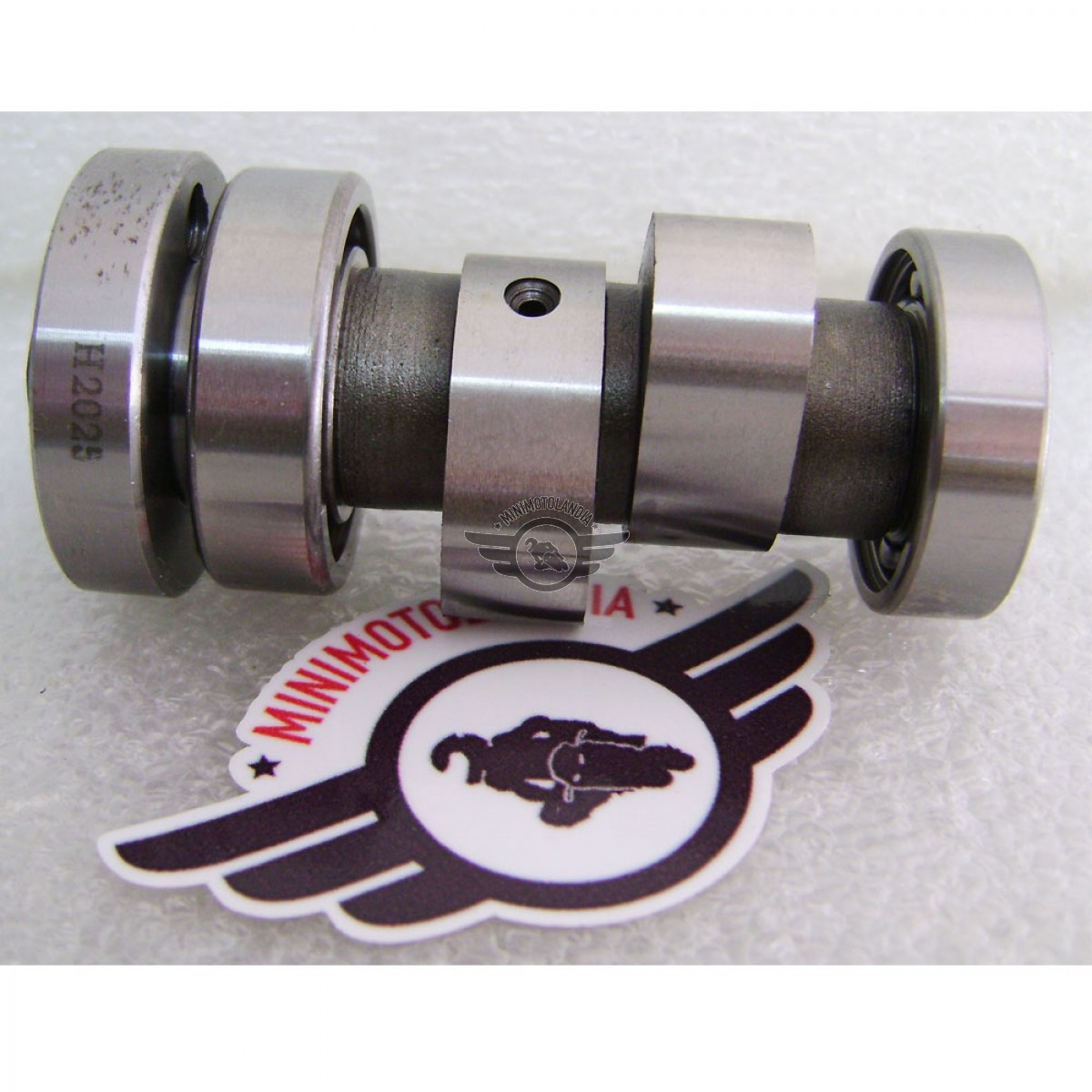 Albero A Camme Originale Per Motore Yx Pit Bike 150 160cc Minimotolandia