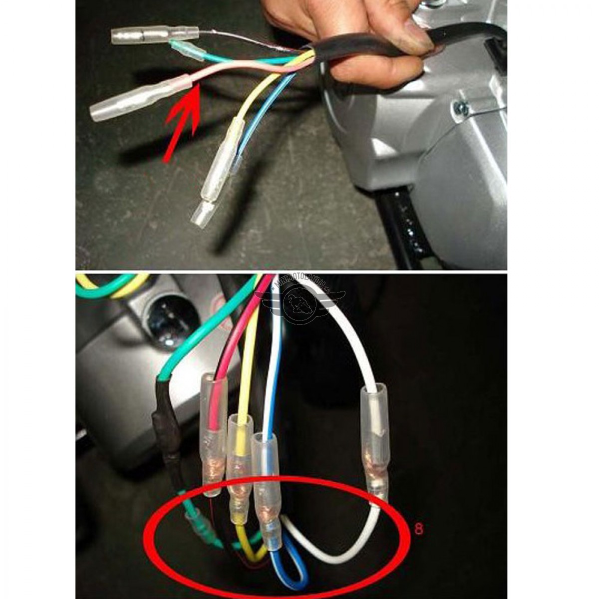 Impianto Cablaggio Elettrico Pit Bike E Quad Atv Minimotolandia