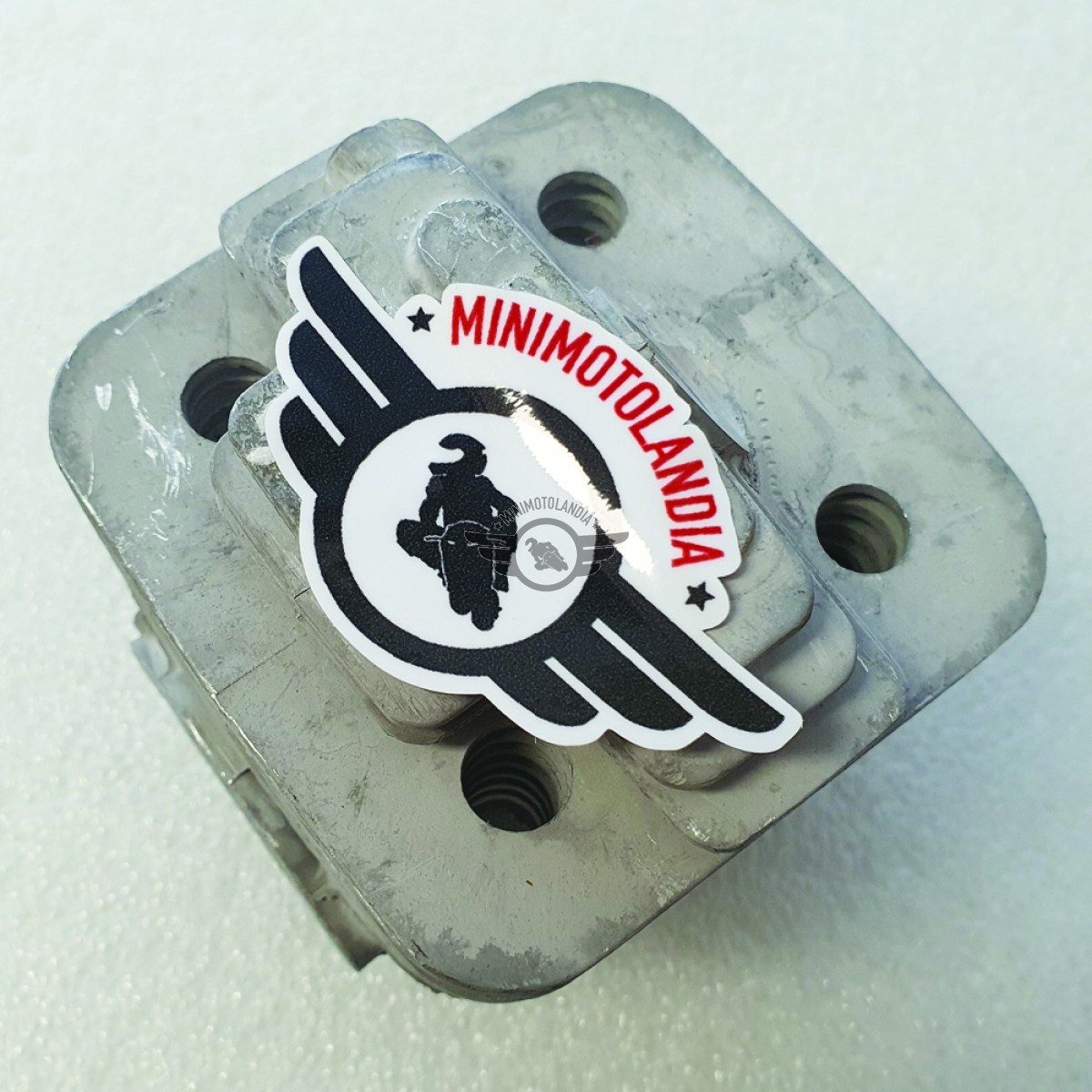 Cilindro E Pistone Motore Decespugliatore 53cc 2,5cv - Foto 6