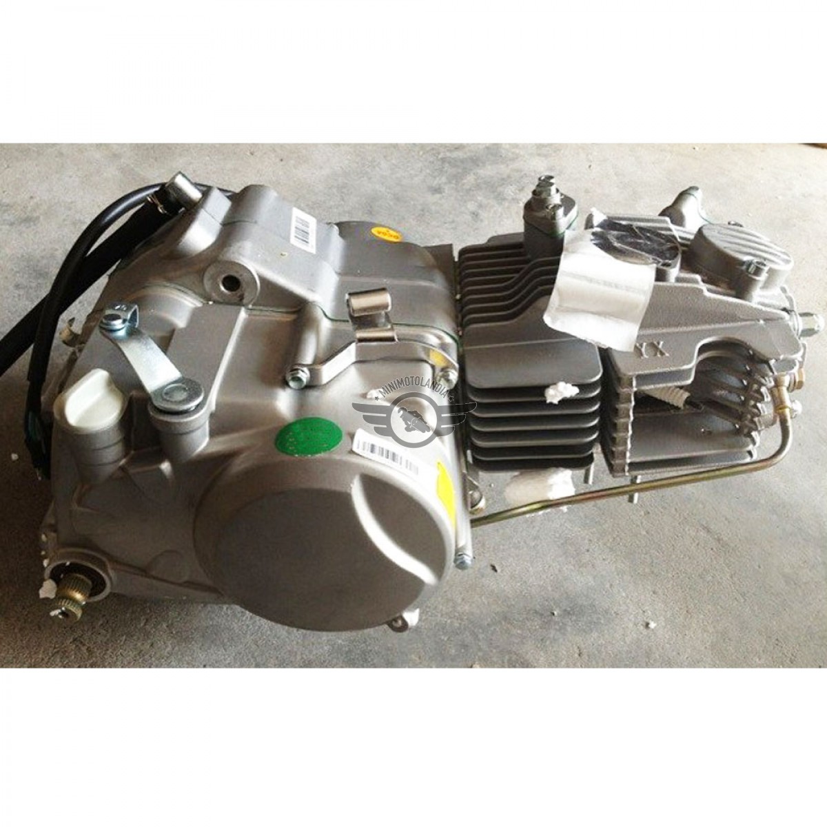 Pompa Olio Motore Yx Pit Bike 125cc Minimotolandia