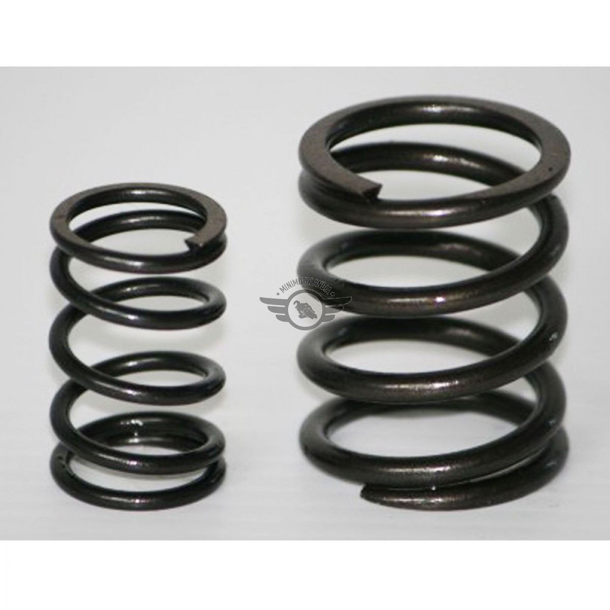 Molla Valvola 22 Libbre + Asta Di Spinta Valvola + Braccio - Foto 8