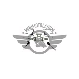 2 Cuscinetti 6000Z Mozzo Ruota Miniquad Raptor 49cc 4"