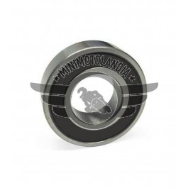 Cuscinetto Ruota Miniquad 6003 2RS Quad