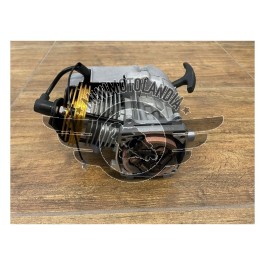 Blocco Motore Big Bore 50cc 6CV Minimoto Miniquad Senza Carburatore Campana