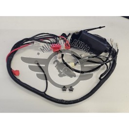 Cablaggio Impianto Elettrico Quad Kayo AY70 70cc
