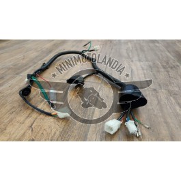 Cablaggio Miniquad ATV Mod A 110cc 125cc 4 Tempi Impianto Elettrico