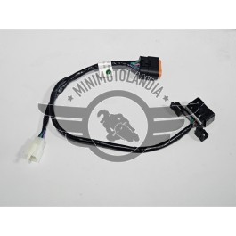 Cablaggio Centralina OBD NC200AU Quad Kayo AU200 200cc