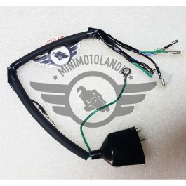 Impianto Cablaggio Elettrico Primario Pit Bike E Quad ATV 