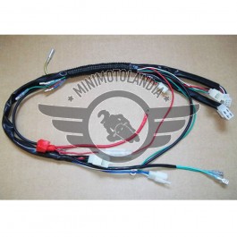 Impianto Cablaggio Elettrico Pit Bike E Quad ATV 