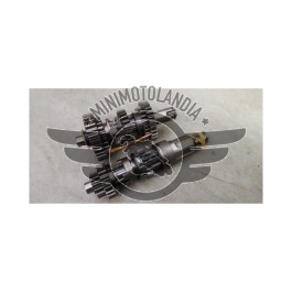 Cambio completo Quad Kayo TOR 250cc trasmissione motore ATV
