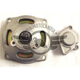 Campana Pignone 6 Denti + Copripignone Minimoto