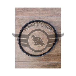 Cinghia Trasmissione CVT200 Kayo AU200 200cc Quad ATV