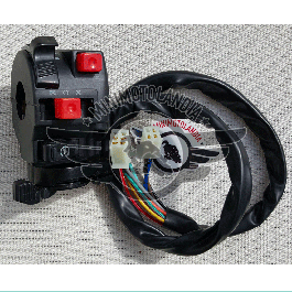 Gruppo Interruttori Comando Quad ATV 110cc 4 Tempi 2 Spine