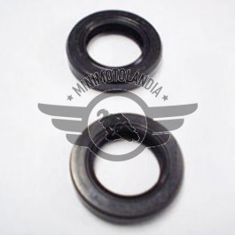 Paraoli 15x22x5 Replica D1/DM/POLINI 
