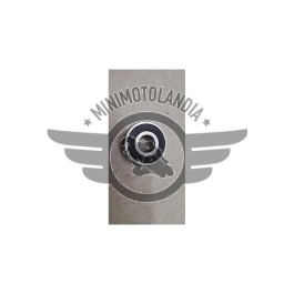 Cuscinetto 6302RS per Cross Kayo K2 Pit Bike motore e ruota
