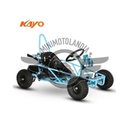 ES50 Buggy Elettrico 800W 36V Mini UTV Off Road