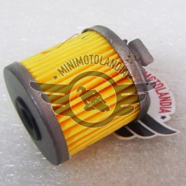 Filtro Olio Interno In Carta Per Motori Pit Bike YX 