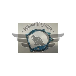 Guarnizione Carter Motore Decespugliatore 53cc 2 Tempi Ricambio Alta Tenuta