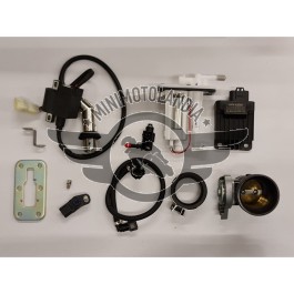 Kit Iniezione Motore ZS300 300cc Quad ATV Sistema Iniezione