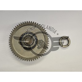 Kit Ingranaggio Ruota Libera Motore ZS165YML 200cc Quad