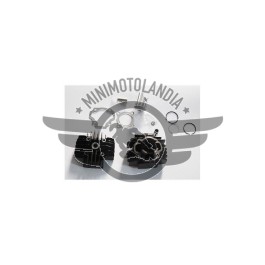Kit Motore Yamaha PW50 Cilindro Testa Pistone Fasce Elastiche Guarnizioni