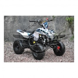 Miniquad ATV Fox XXL 50 cc 2 T Cerchio 6"