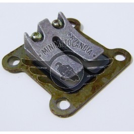 Pacco Lamellare Originale Per Minimoto Aria 49cc
