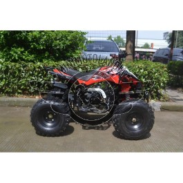 Quad ATV 125 cc Sport Cerchio 8" Semiautomatico 3 marce + retromarcia