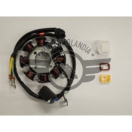 Statore 8 Bobine Motore ZS165YML 200cc Quad ATV