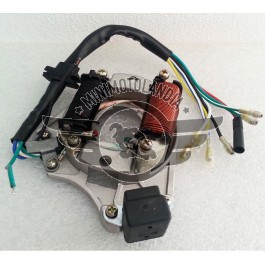 Statore Motore 4 Tempi Quad ATV 110cc 2 Bobine