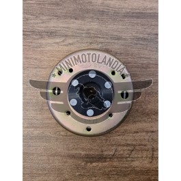 Volano magnete accensione Quad Kayo AU180 180cc motore GY6 automatico
