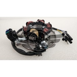 Statore Motore 125cc YX 6 Bobine Per Pit Bike 
