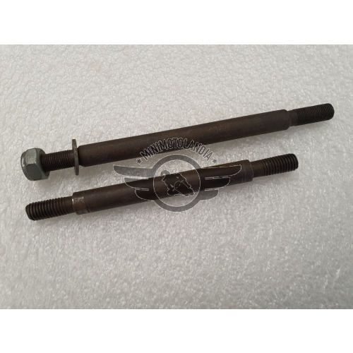 Dado Ruota Posteriore Bici Da 3/8