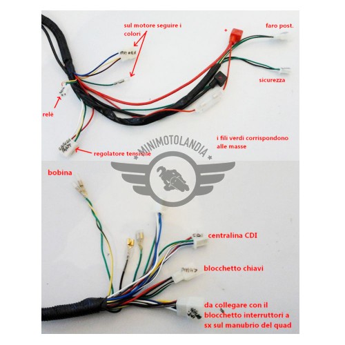 Kit Cablaggio Elettrico Per ATV/QUAD 200-300cc - Include CDI, Bobina, Interruttore, Cavi