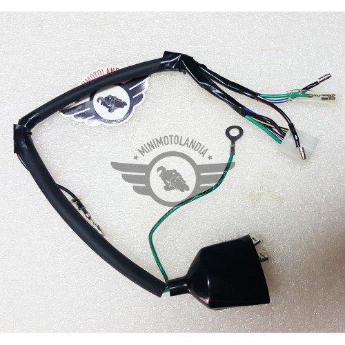 Kit Cablaggio Bobina Di Accensione CDI Per ATV Quad 50cc 70cc 90cc 110cc Sistema Elettrico Completo~p142517203 Kit Cablaggio Bobina Di Accensione CDI Per ATV Quad 50cc 70cc 90cc 110cc Sistema Elettrico Completo~p142517203