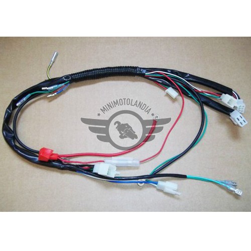 Cablaggio Elettrico Completo Per Mini Quad ATV 4 Tempi - 50cc, 70cc, 110cc, Pit Bike - Foto 4