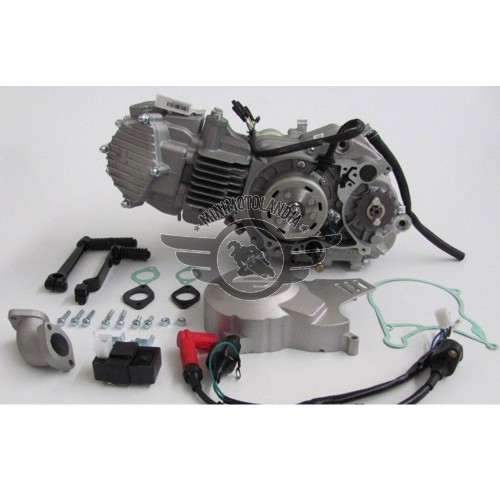 Motore YX 160cc ZR-1 Piattelli Ergal Testa 53mm - Ricambi YX - Ricambi ...