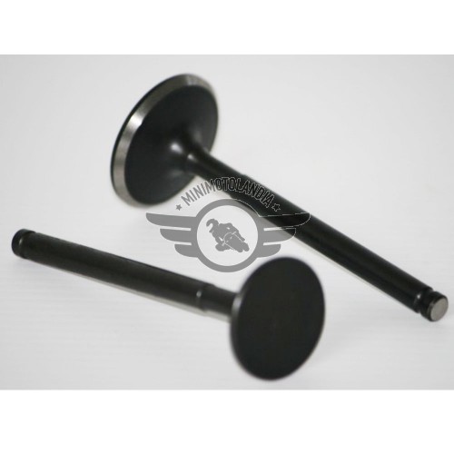 Valvole Aspirazione E Scarico Per Pit Bike GPX 155 cc Minimotolandia Valvole Aspirazione E Scarico Per Pit Bike GPX 155 cc Minimotolandia