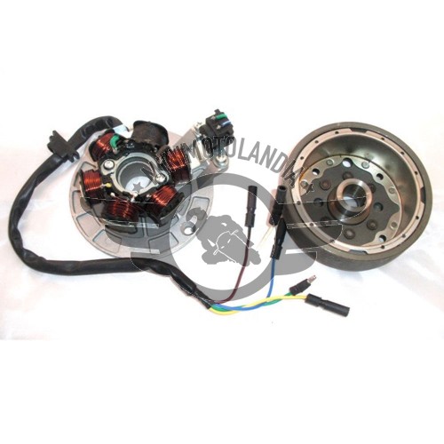 Accensione completa a rotore esterno per motore YX MEDIUM WEIGHT