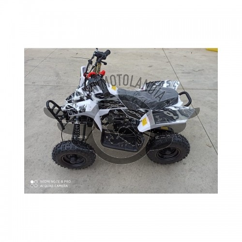 Miniquad ATV Fox XXL 50 cc 2 T Cerchio 6"