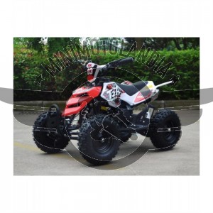 Miniquad Raptor 49cc Cerchio 6" XXL