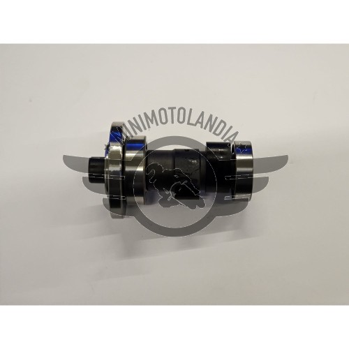 Albero a Camme Motore ZSCBB200 Quad 200cc
