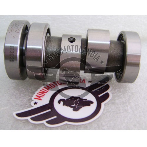 Albero A Camme Originale Per Motore YX Pit Bike 150/160cc