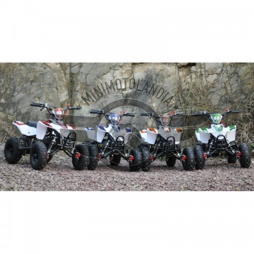 Miniquad ATV Fox XXL 50 cc 2 T Cerchio 6"