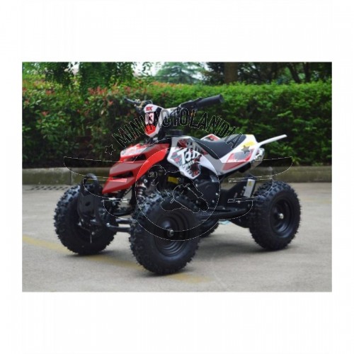 Miniquad Raptor 49cc Cerchio 6" XXL