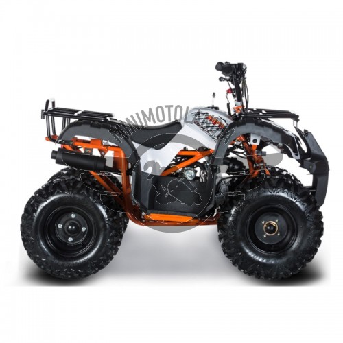Quad ATV AU110cc 4 Tempi KAYO Automatico