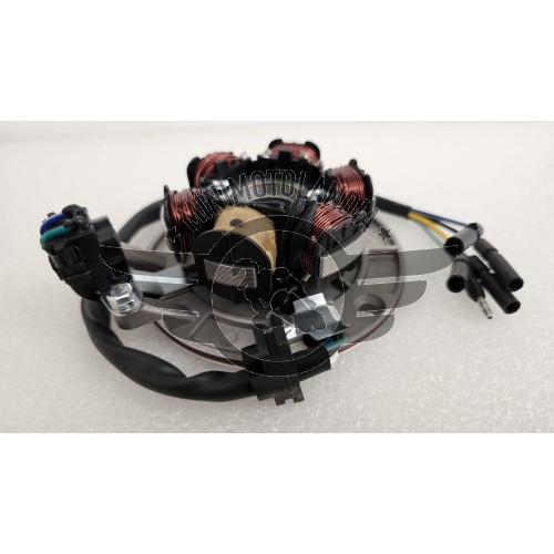 Statore Motore 125cc YX 6 Bobine Per Pit Bike 