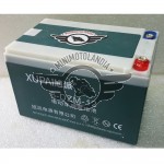 Batteria 12V 12ah per Monopattino Minicross elettrico Scooter