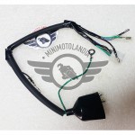 Impianto Cablaggio Elettrico Primario Pit Bike E Quad ATV 
